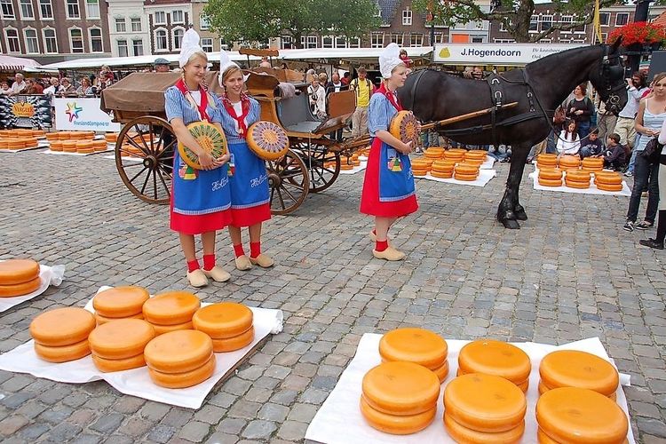 Omgeving vakantiehuis Reeuwijkse Plassen 02