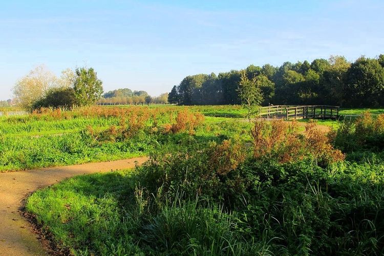 Omgeving vakantiehuis Reeuwijkse Plassen 06