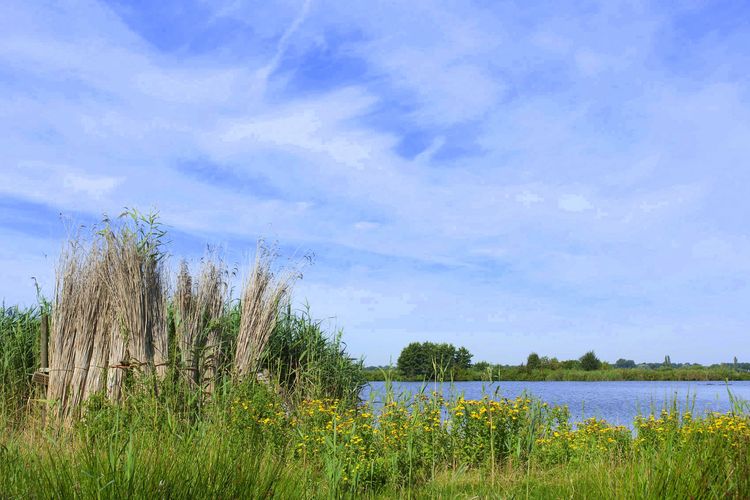 Vakantiehuis Reeuwijkse Plassen vakantie Reeuwijk 05